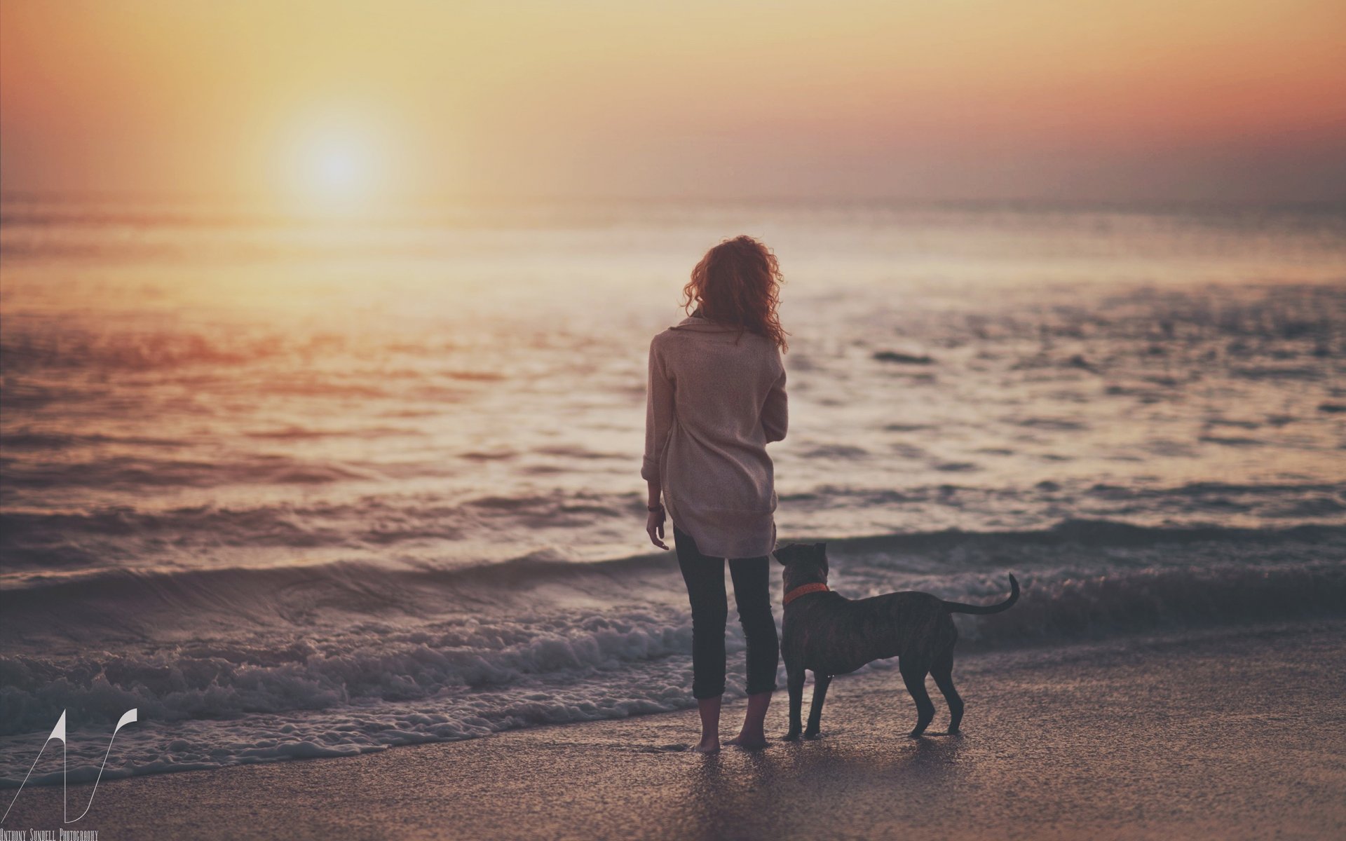 chica puesta de sol perro agua noche lago