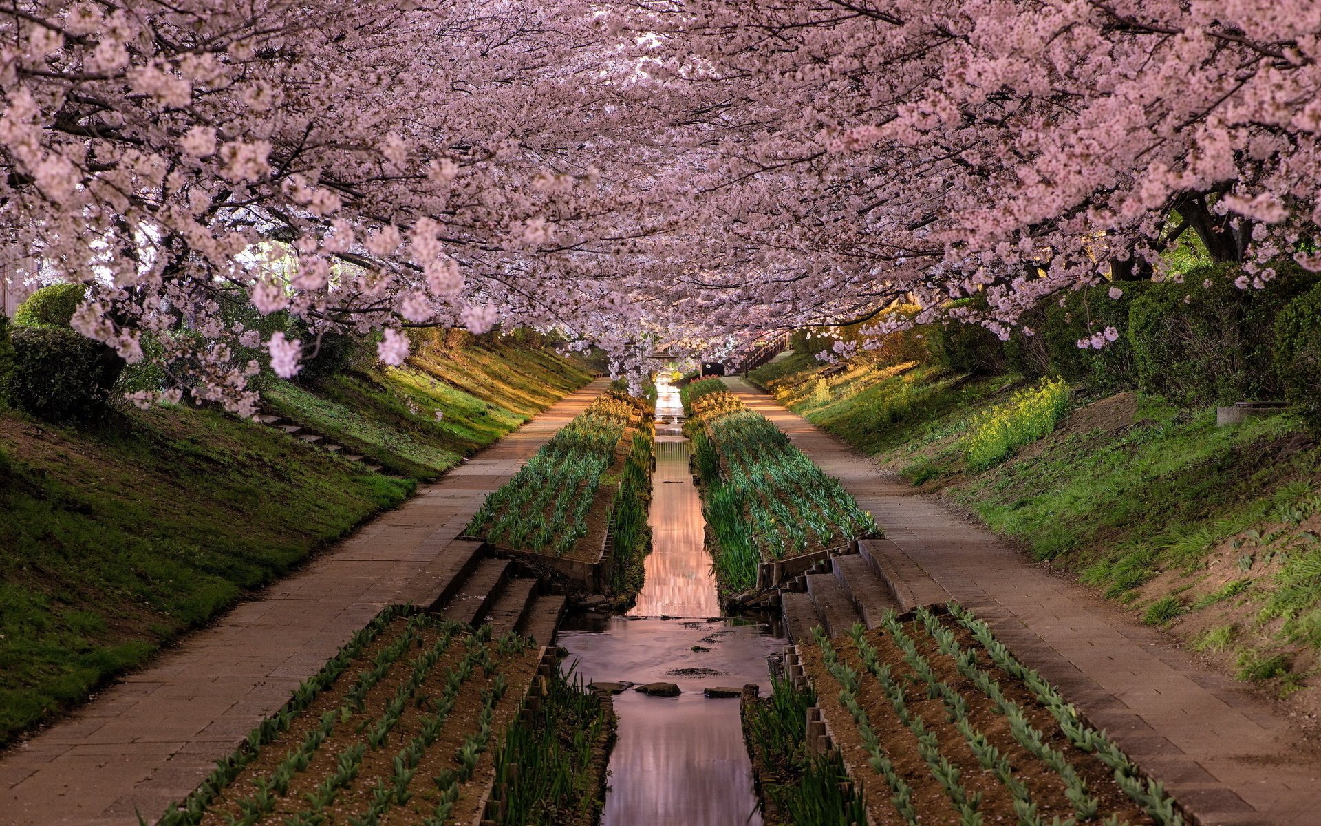 yokohama-shi kanagawa prefecture ciudad japan parque