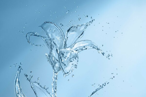 Salpicaduras de agua, tomadas creativamente como una flor