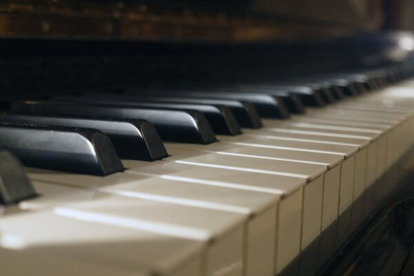 Tasti di pianoforte in bianco e nero in riprese macro