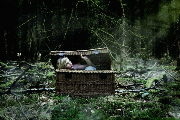 Chica en una cesta en el bosque situación