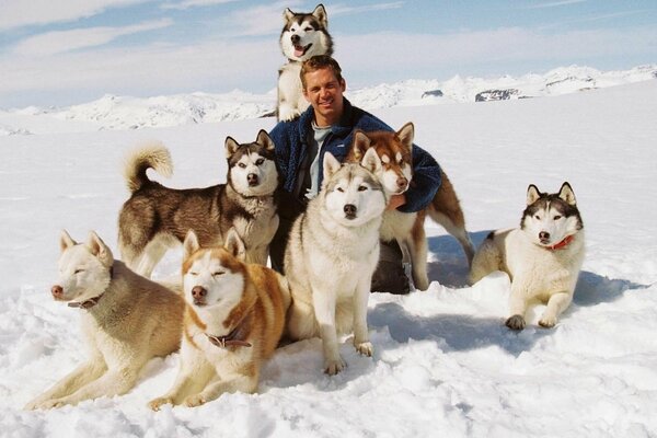 Paul Walker with a pack of dogs