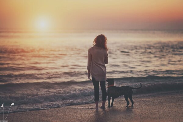 A girl with a dog on the shore of the lake in the evening