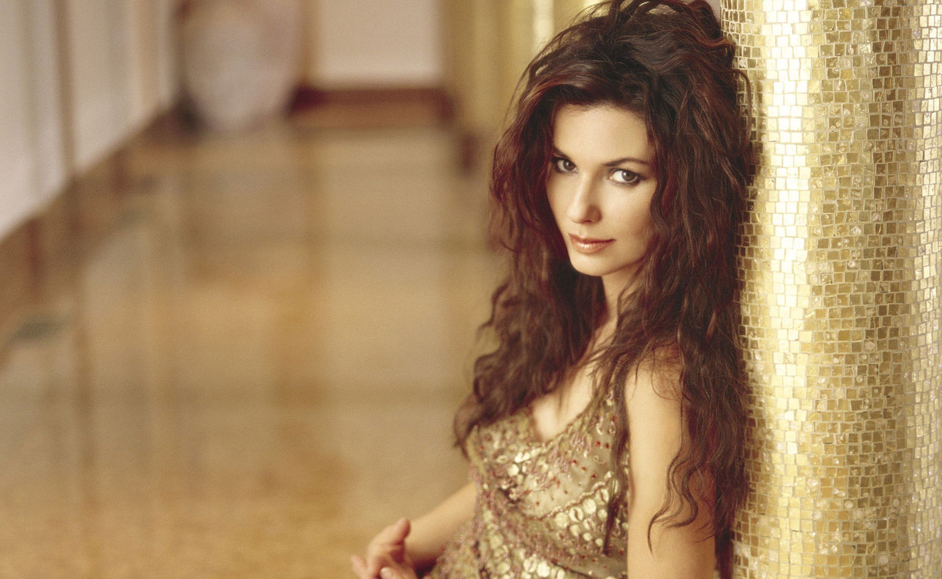 music singer girl shania twain hair brown hair make-up dress gold