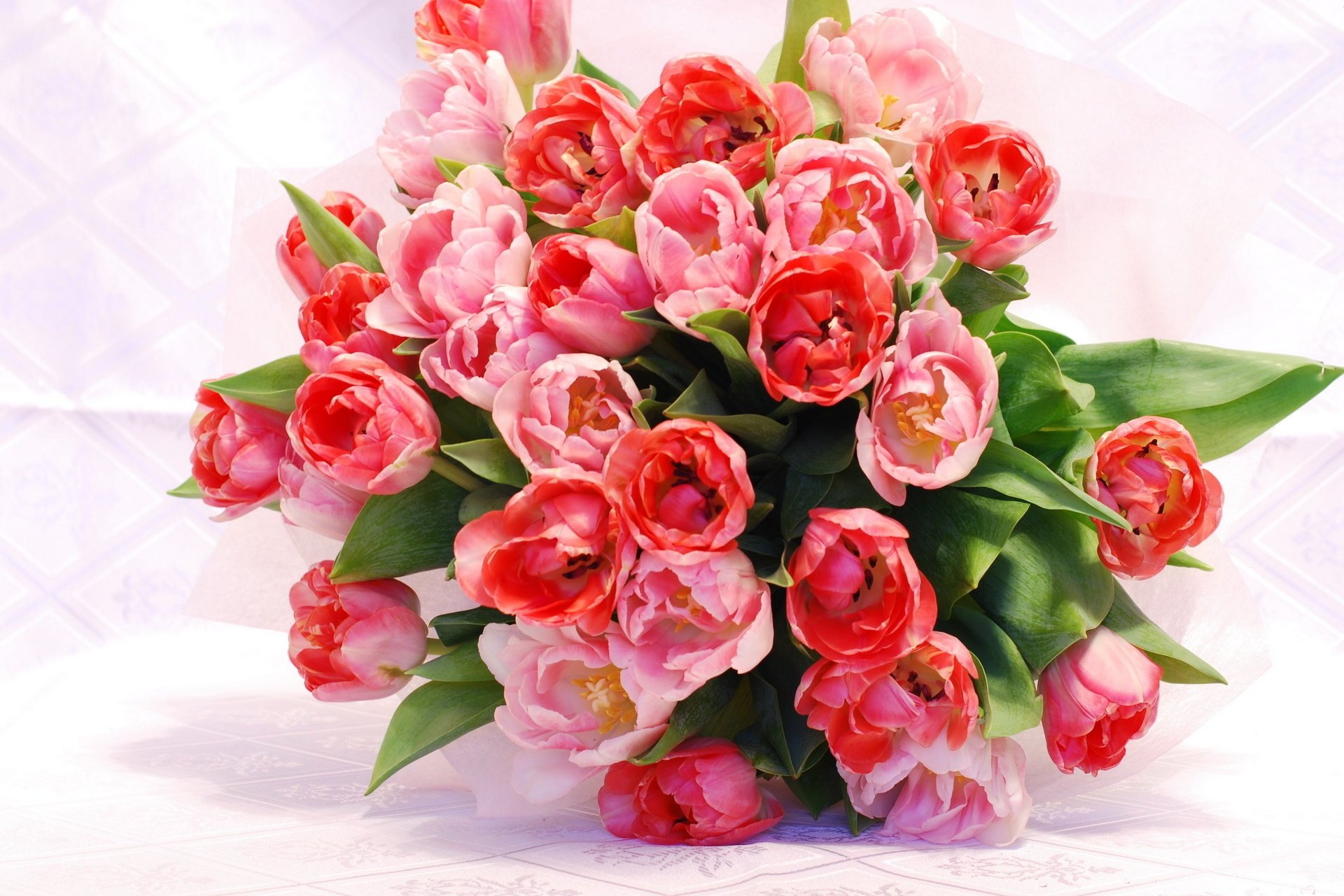 flowers tulips bouquet spring