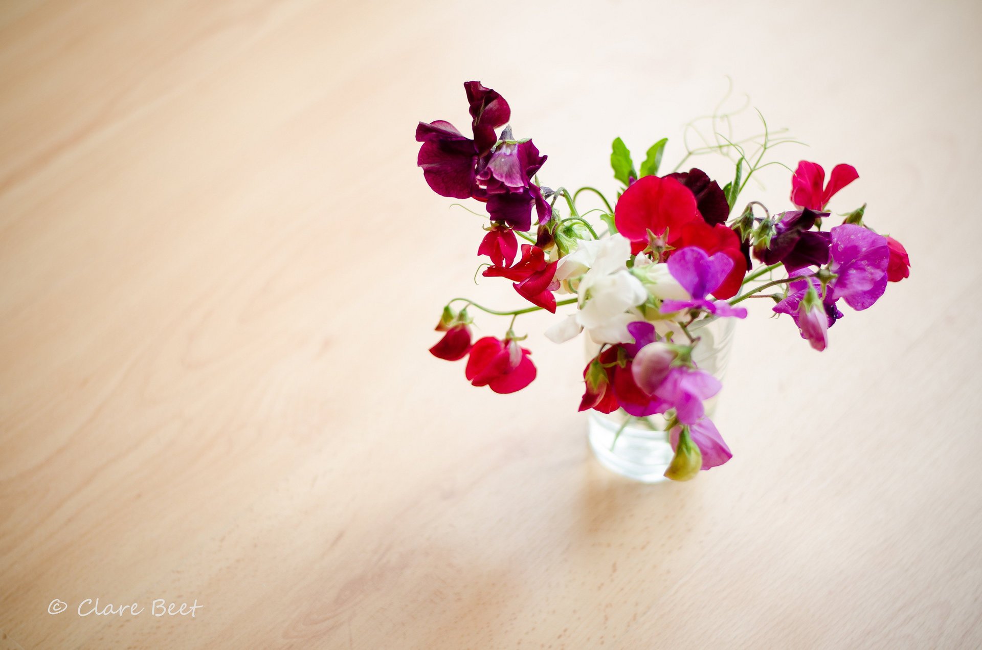 flowers fragrant clare beet polka dot vase bouquet