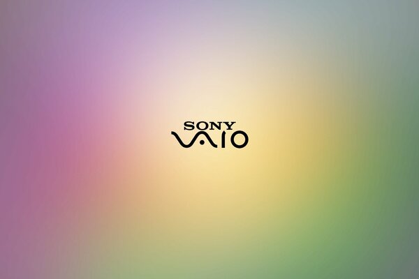 Iscrizione texture sony vaio