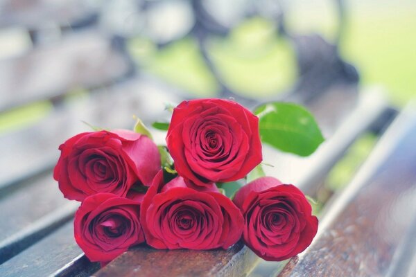 A bouquet of roses left on a lonely bench