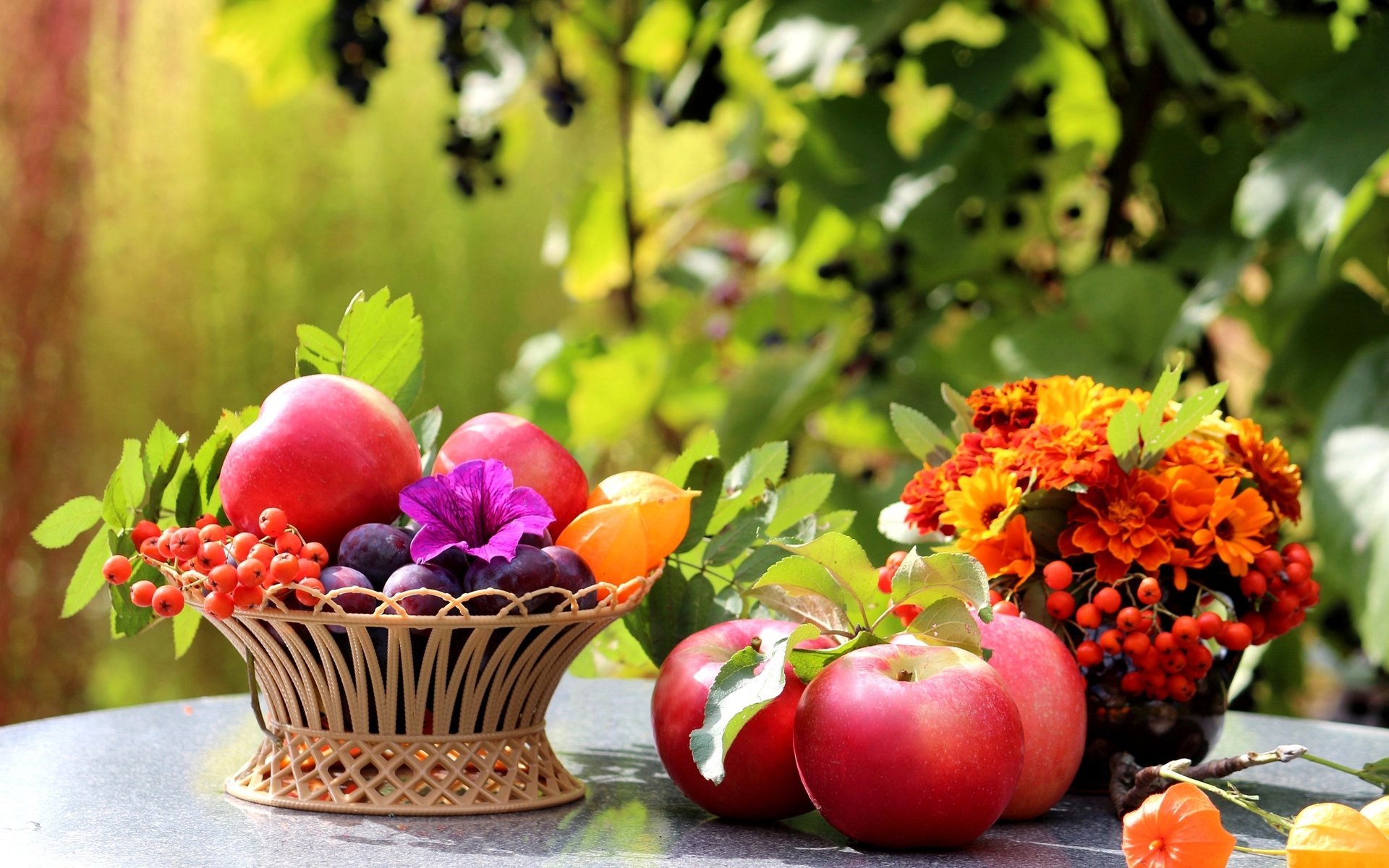 fleurs table rowan fruits prunes panier pommes