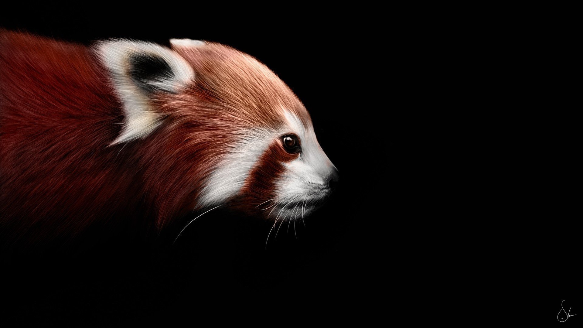 firefox art czerwona panda czarny tło