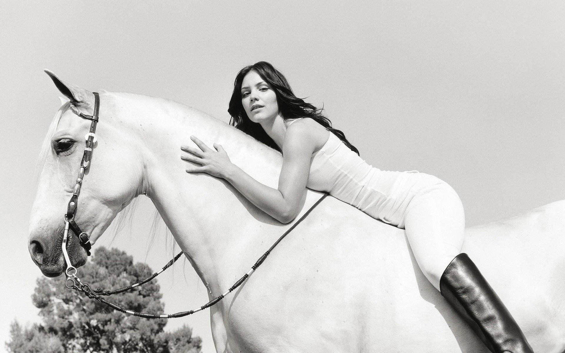 girl horse singer katharine mcphee katherine mcphee