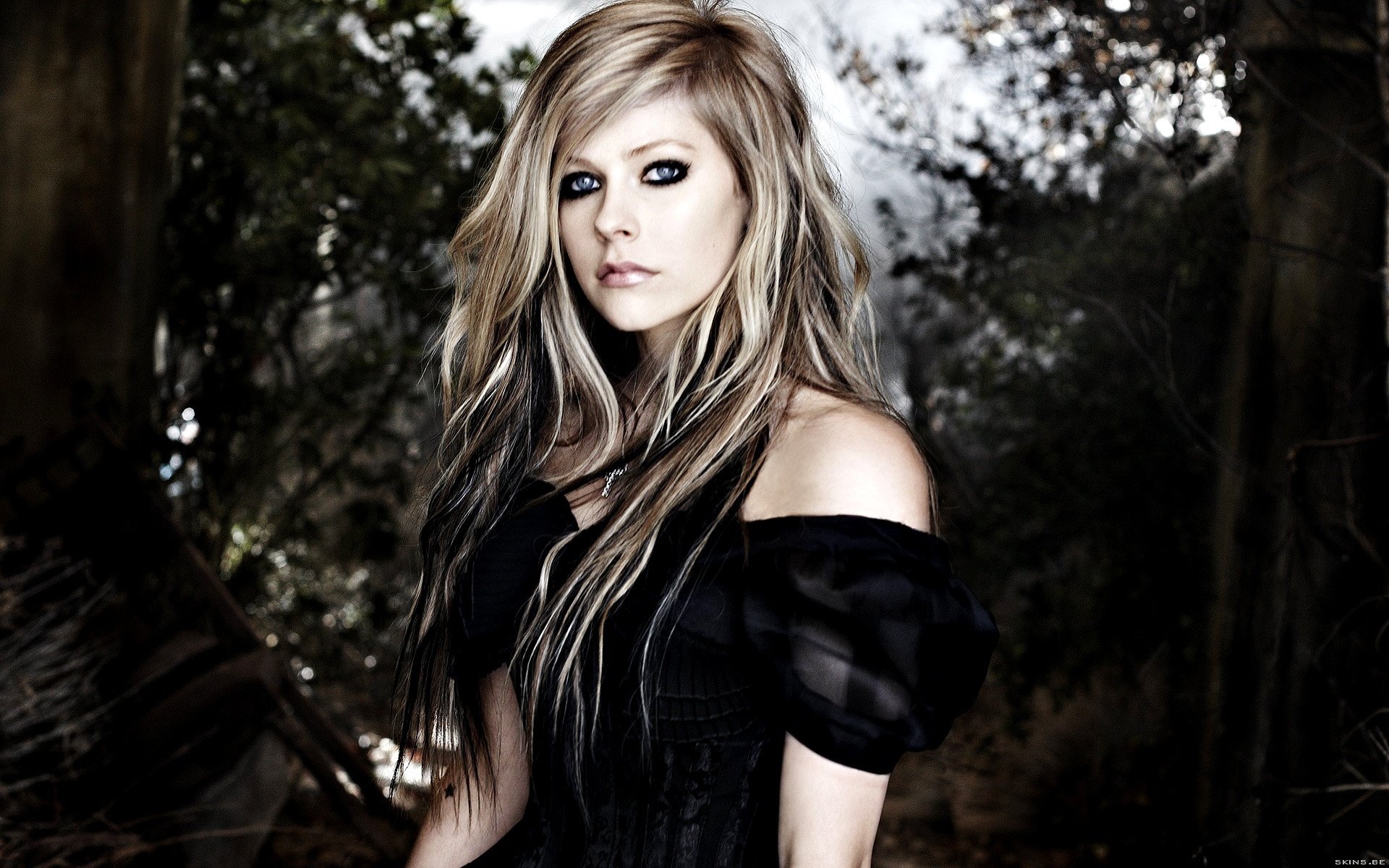 sängerin avril lavigne avril lavigne