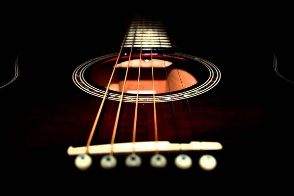 Macro photo with guitar strings