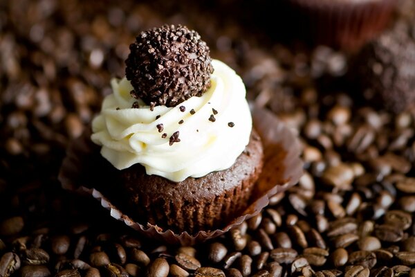 Coffee muffin with chocolate candy on cream