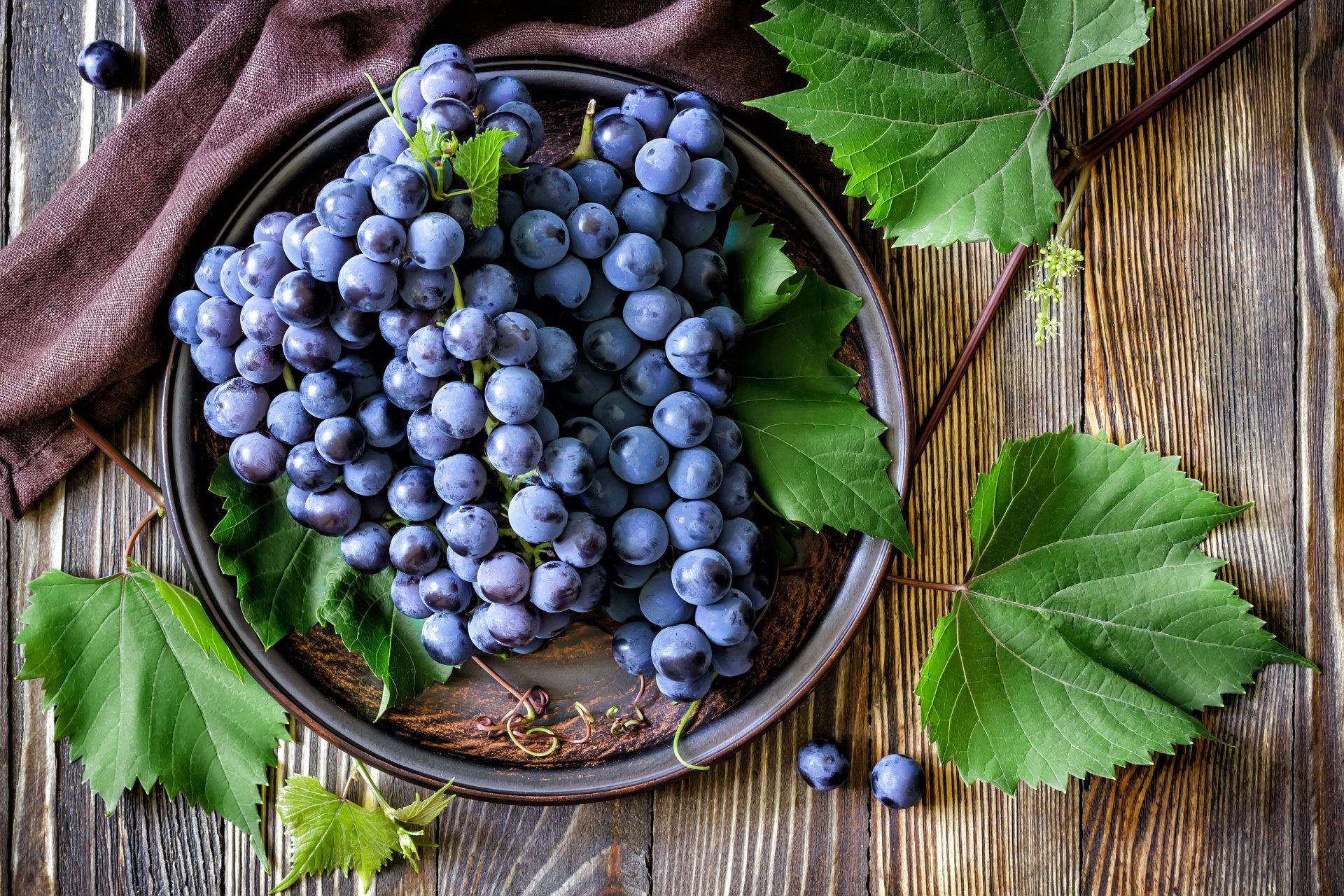 uva rosso foglie bacche grappoli piatto