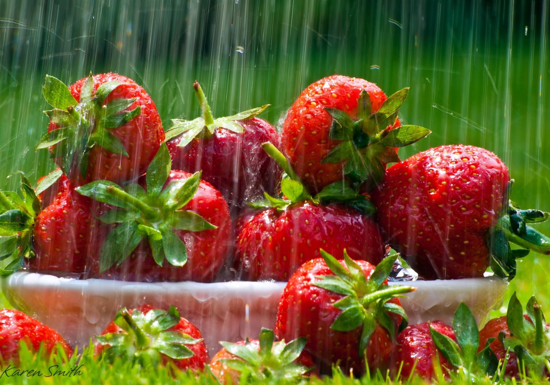 essen erdbeere teller gras blätter blätter rasen regen tropfen licht strahlen rot