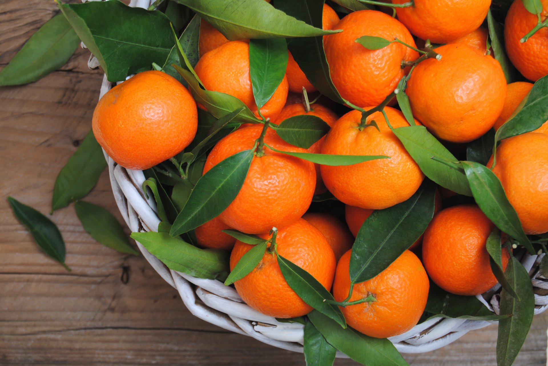 oranges fruits feuilles