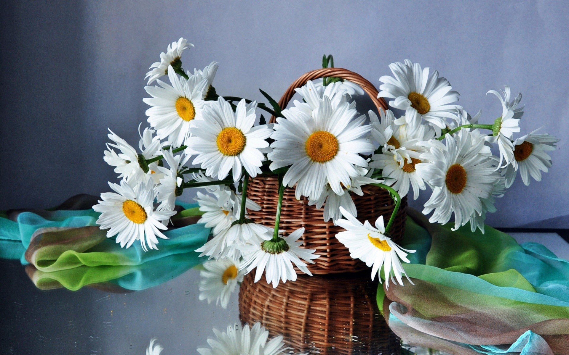 bouquet chamomile beautiful