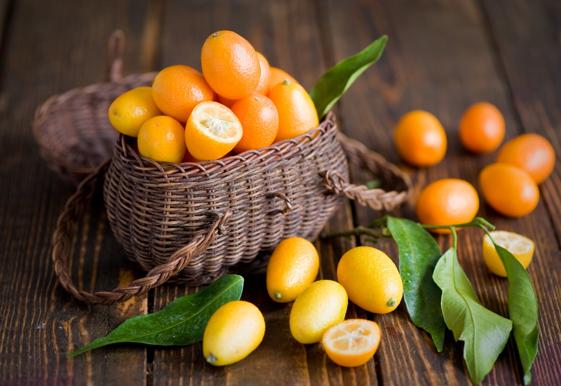 kumquat citrus fruits orange leaves basket anna verdina