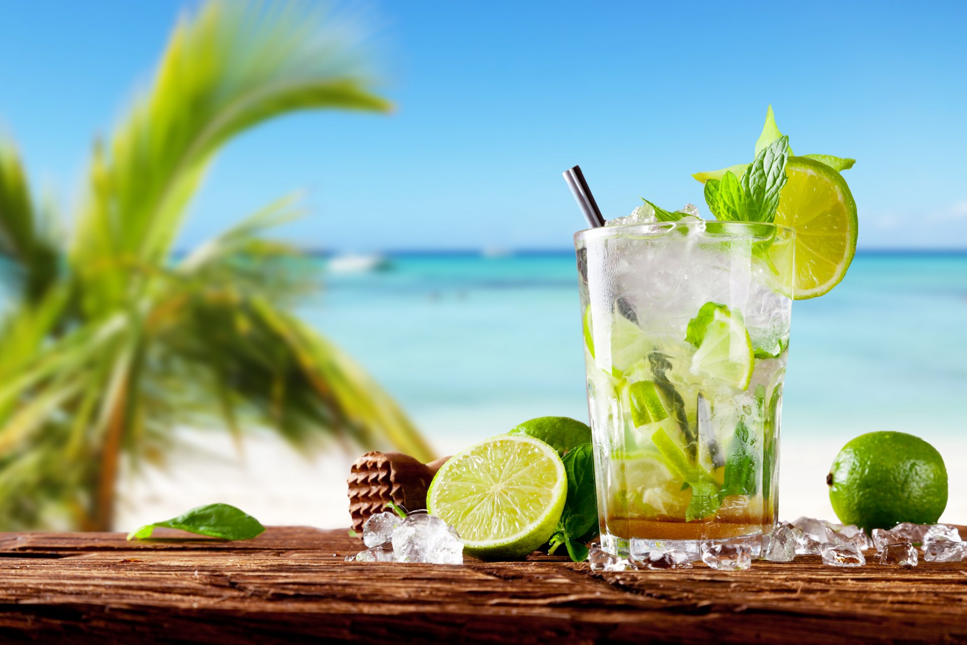 tropisch cocktail mojito trinken kalk frisch meer kalk