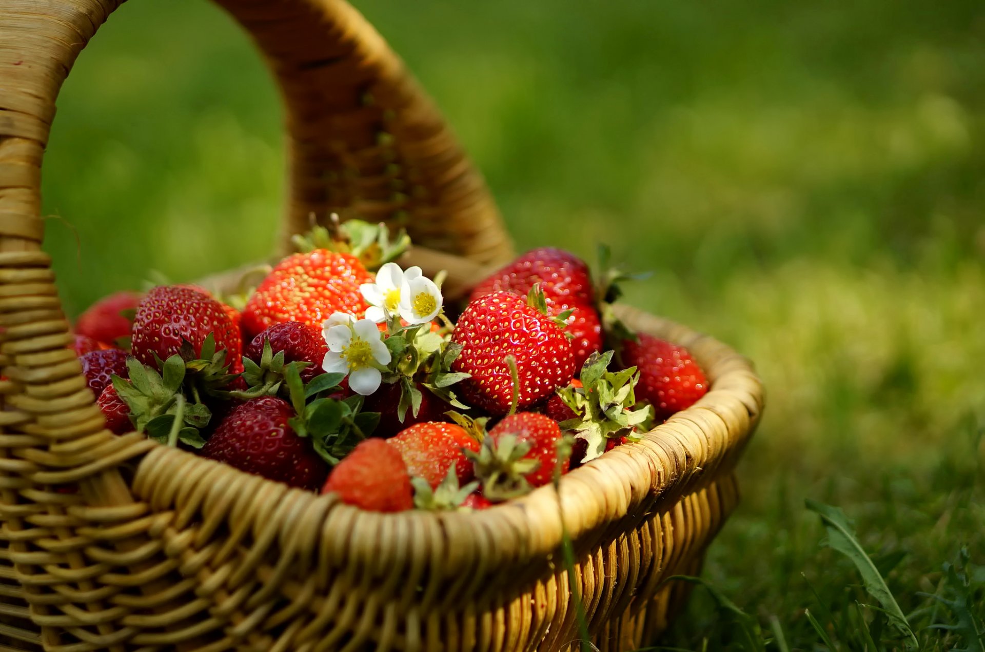 fragola bacche fiori cestino erba