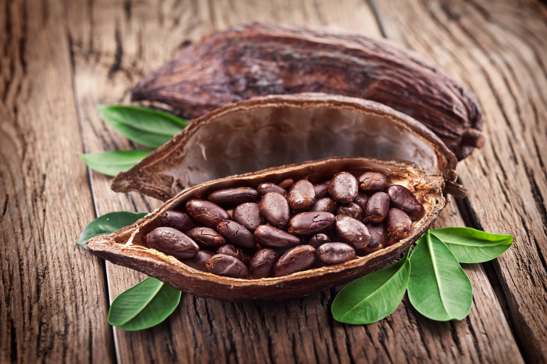 cocoa beans leaves peel