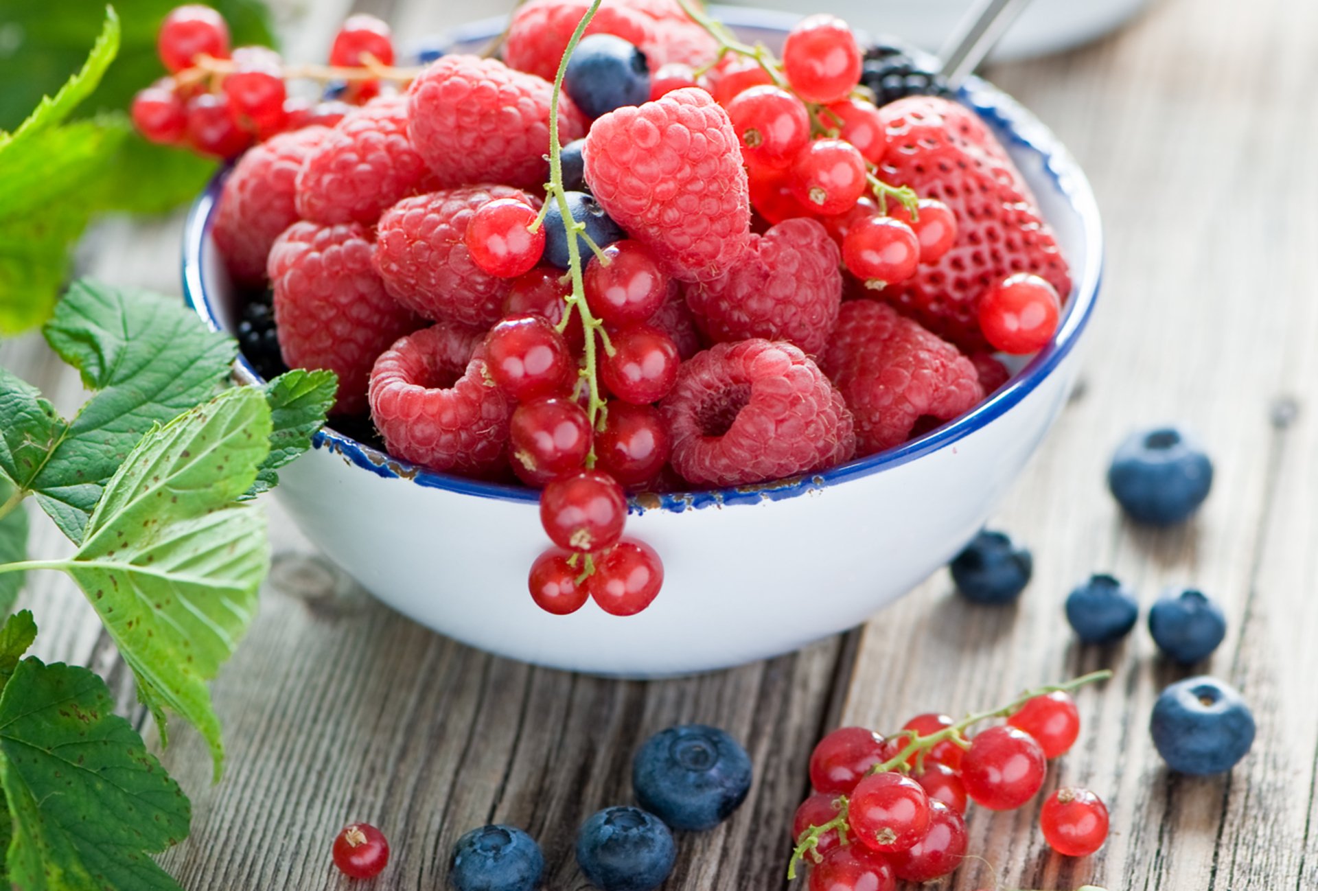 frambuesas fresa arándano cassis frambuesa comida cassie fruits