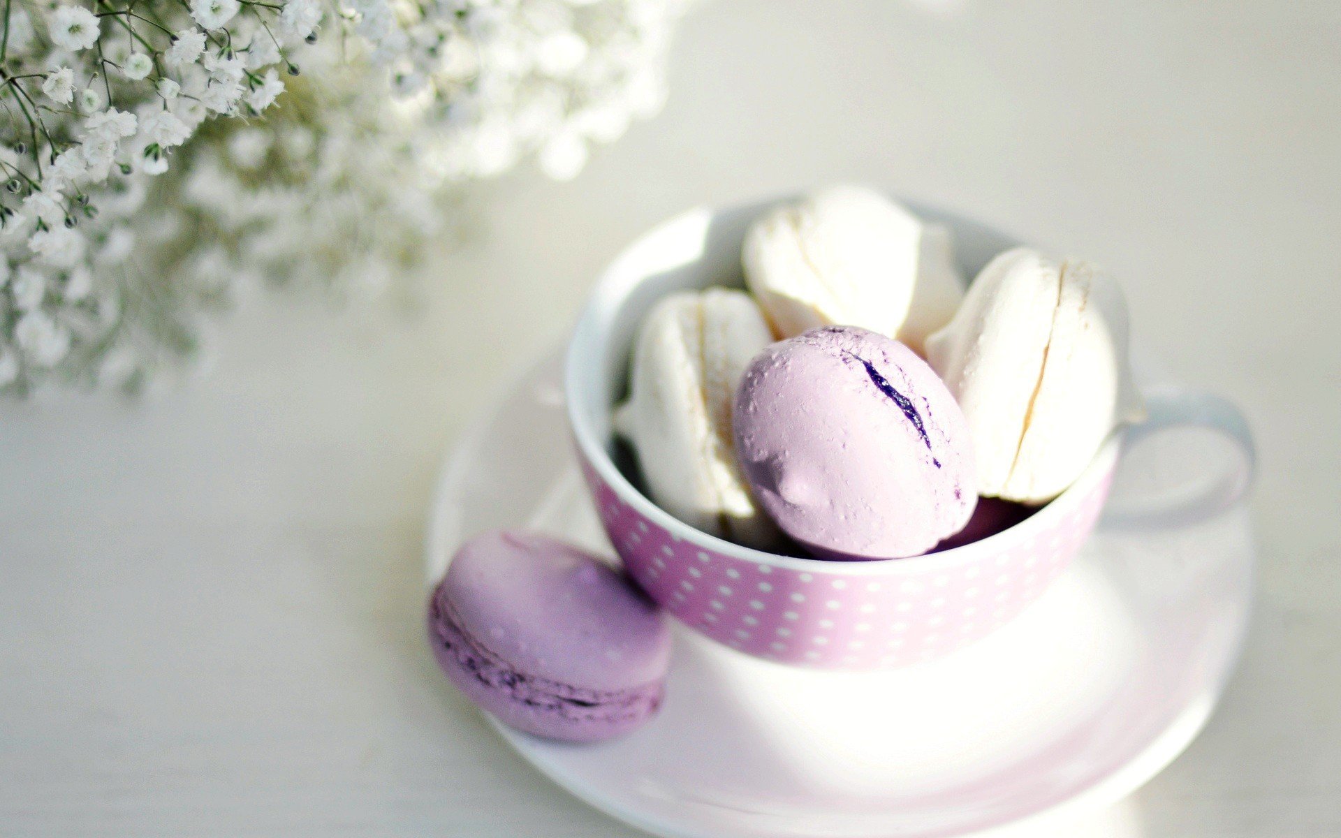 food macaroon dish mug cup sweets flower flowers background wallpaper widescreen full screen hd wallpapers fullscreen