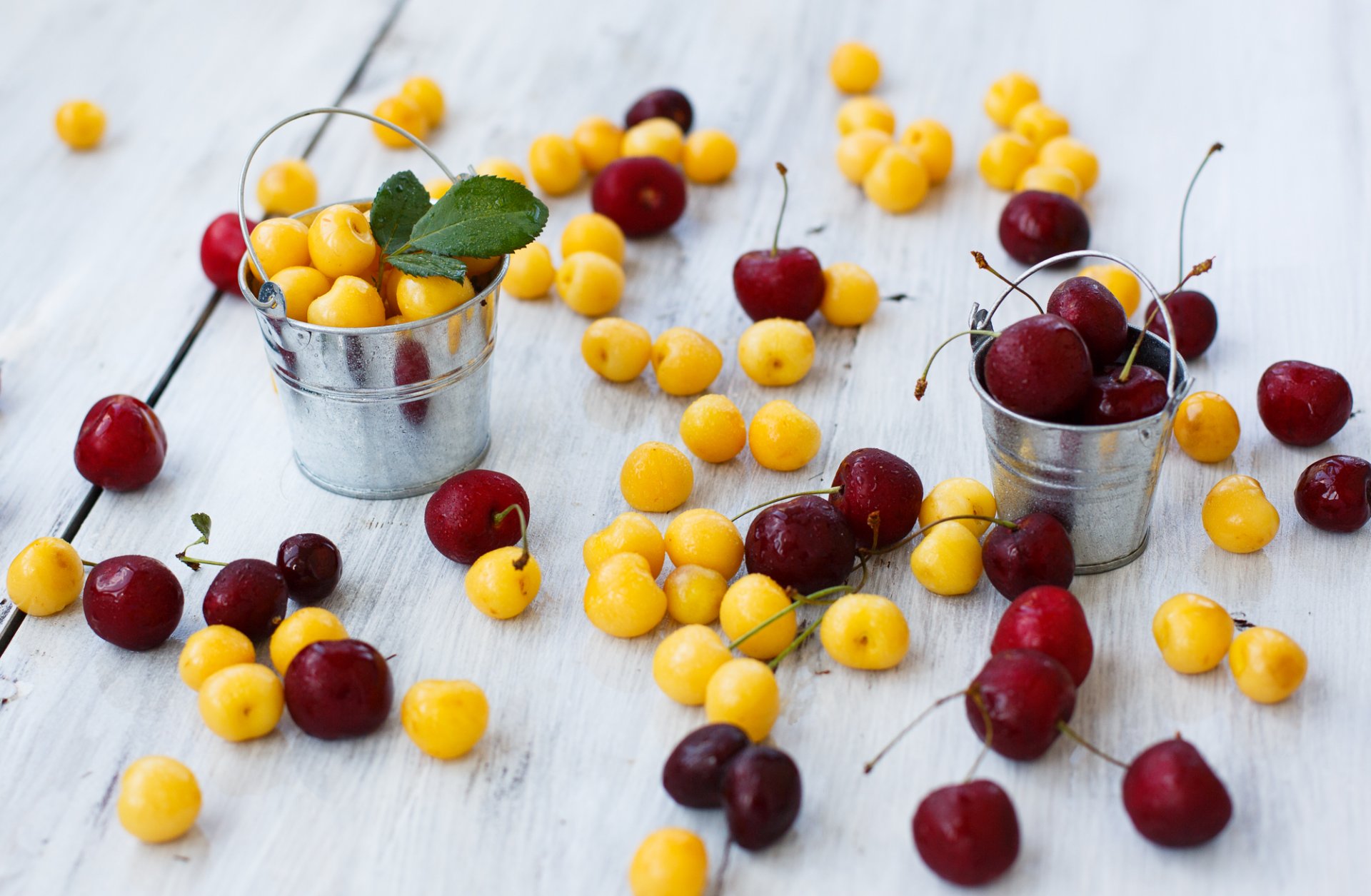 cerezas cerezas bayas amarillo rojo cubos julia husainova