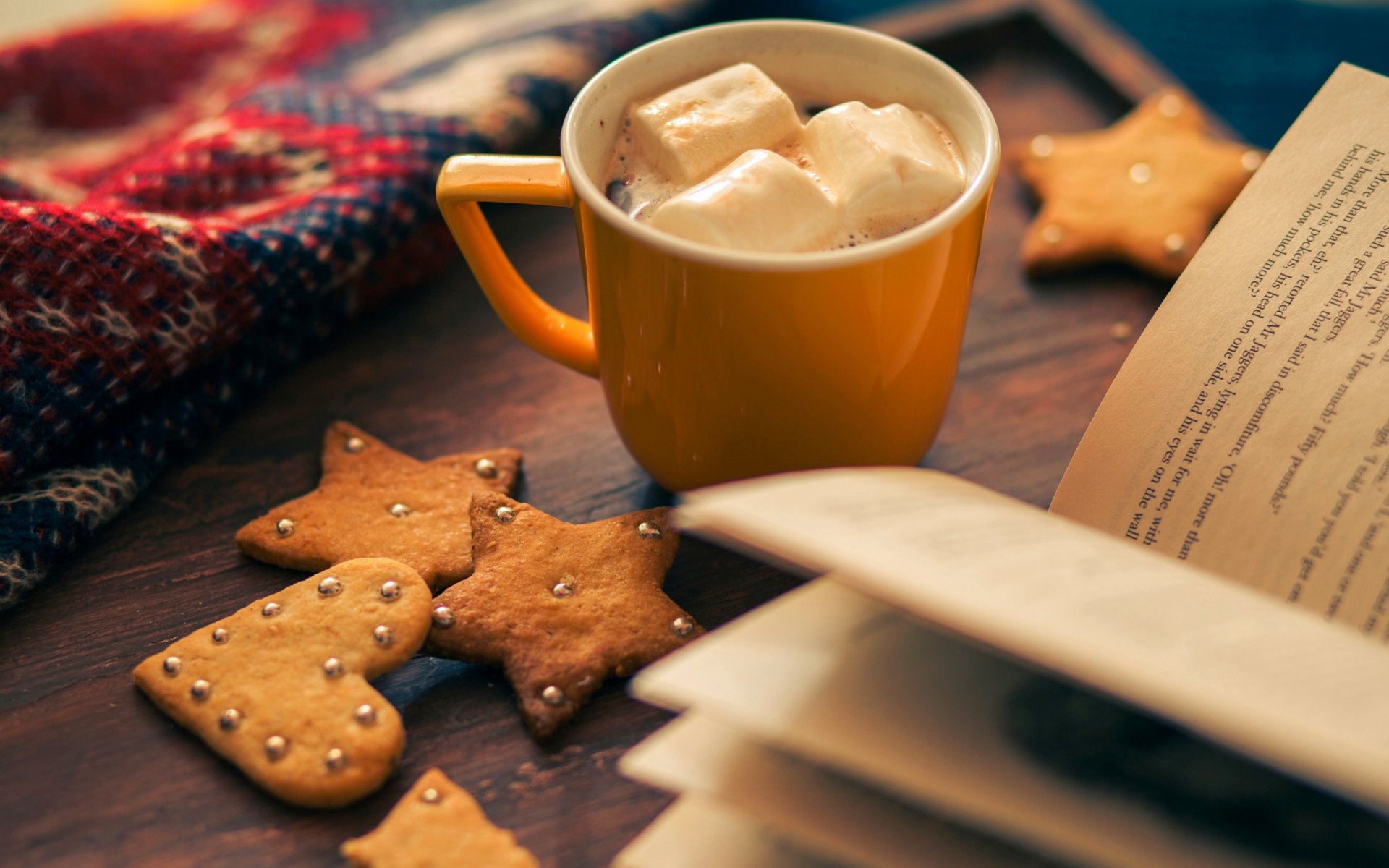 cookies winter rest star cup food heart cocoa book holiday winter