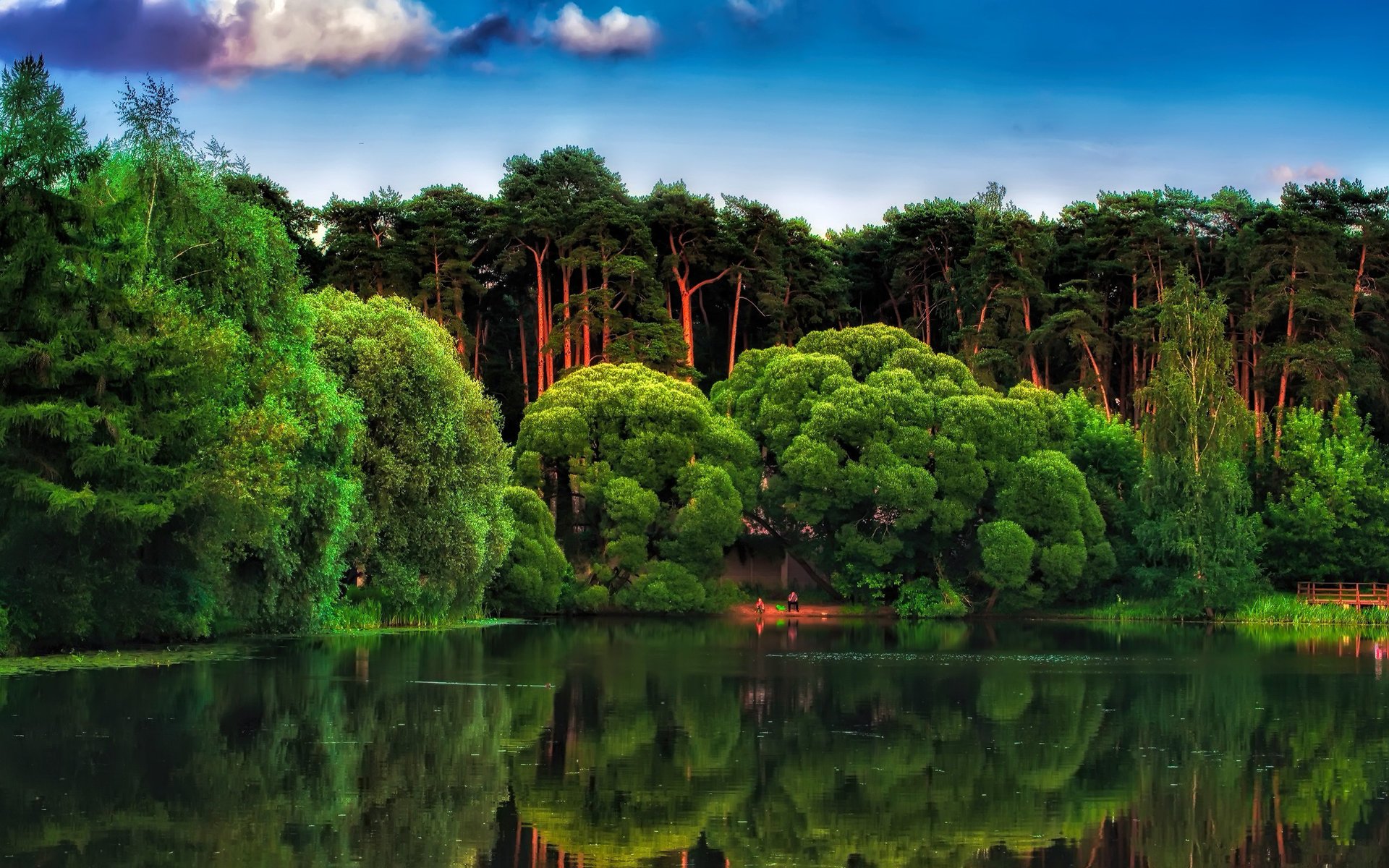 pinos lago árboles naturaleza