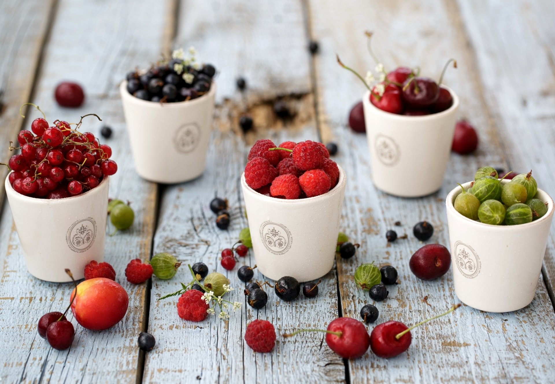 berries currants red black raspberry cherry gooseberries tableware table julia khusainova