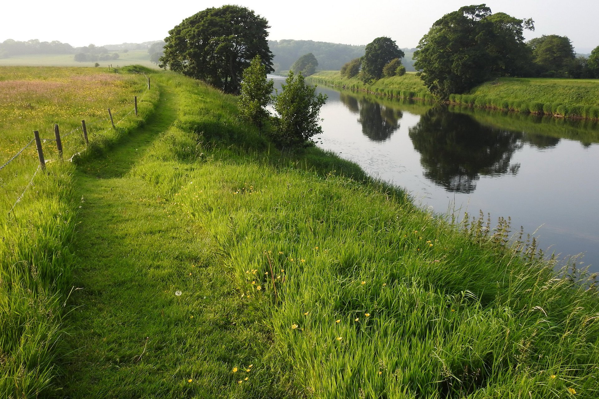 nature summer uk river grass track