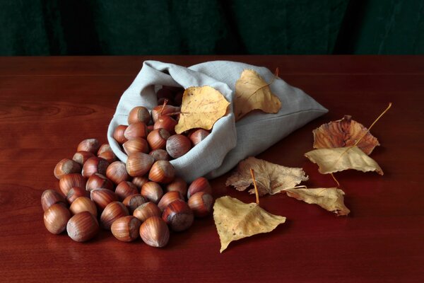 Bellotas en una bolsa. Hojas de otoño