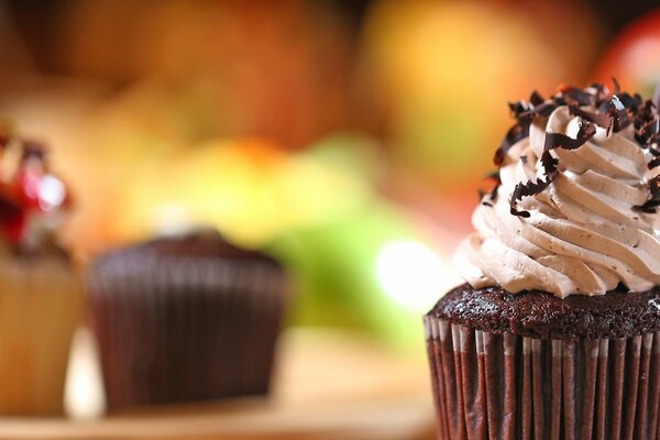 A wonderful chocolate dessert from a pastry chef