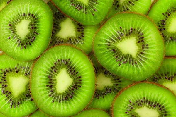 Fette di kiwi succose. Frutti luminosi