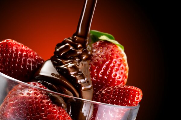 Fraises au chocolat pour les favoris