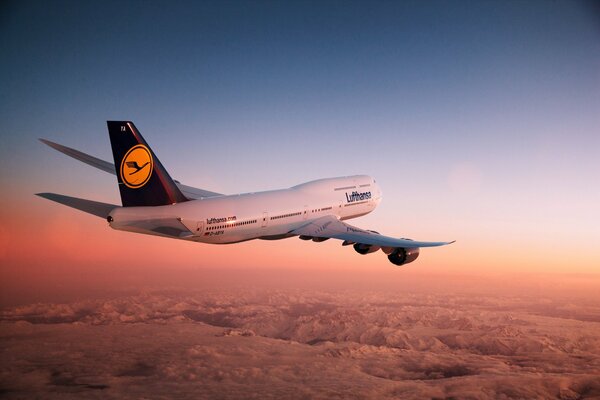 Das Flugzeug fliegt über den Wolken. Rosa Himmel