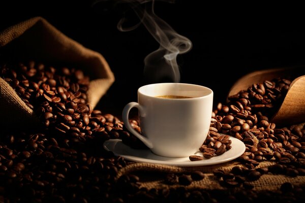 A cup of hot coffee among coffee beans