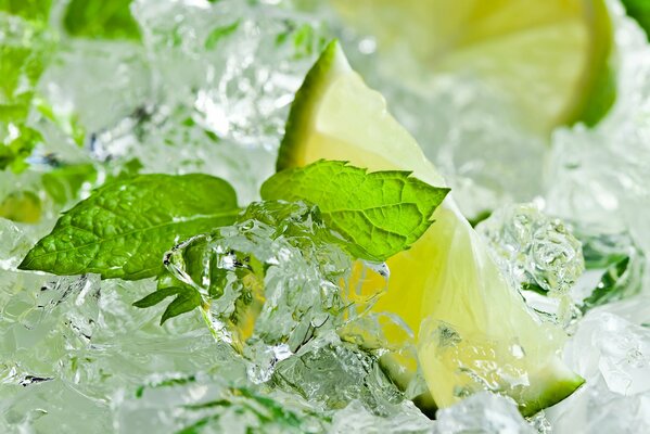 Feuilles de citron vert et de menthe dans des éclats de glace