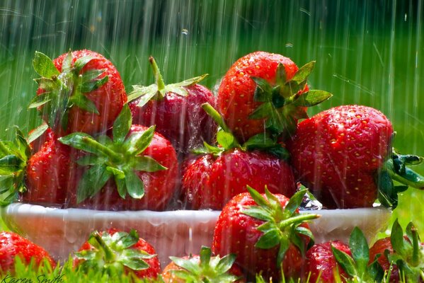 Auf dem Rasen ein Teller mit Erdbeeren im Regen