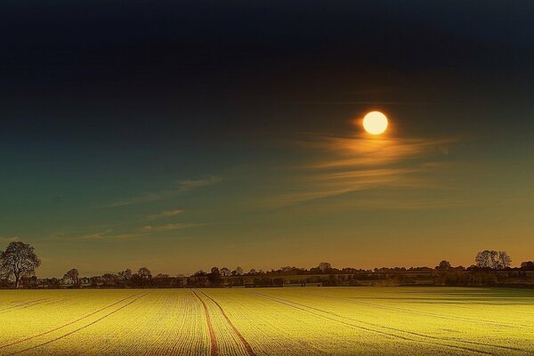 Hermosa puesta de sol en el campo