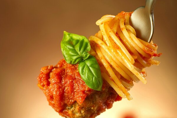 Spaghetti vermicelli va bene ma la carne con ketchup è avvolta