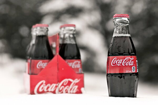 Botellas de Coca-cola en la nieve