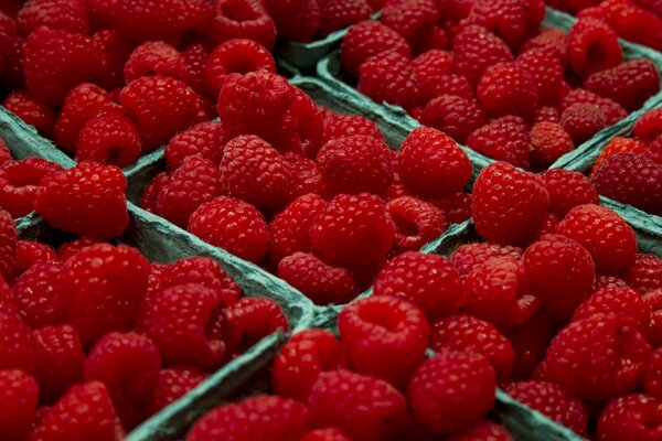 Small paper containers containing red raspberries