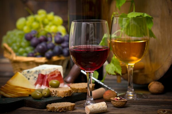 Wine and a varied appetizer for tasting