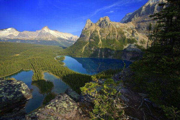 Forêts de montagne et lacs