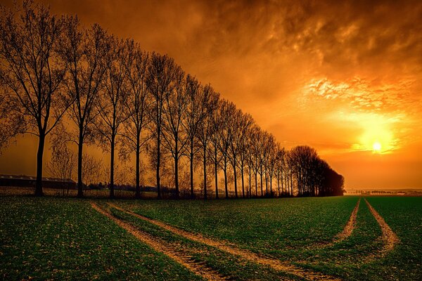 Tramonto estivo arancione sopra il sentiero nel campo