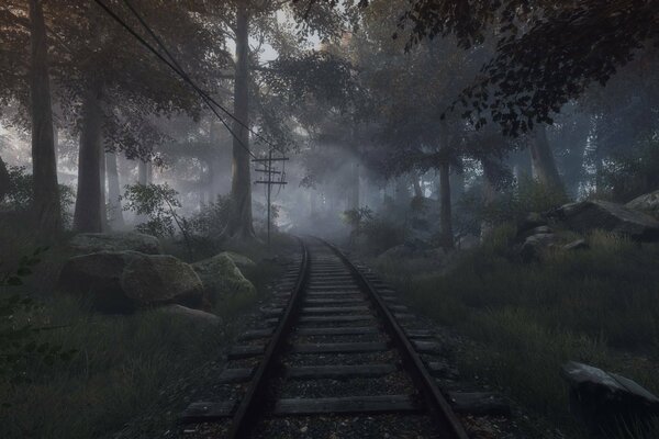 Chemin de fer entre bois et pierres
