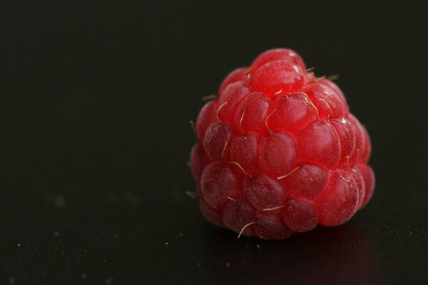 Red raspberry on a dark background